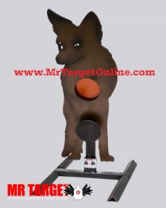 face coyote e1376336079152