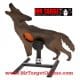 walking coyote e1376332593425